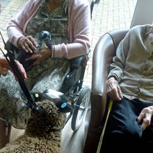 Fishers Mobile Farm visit to Beechville Care Home, Horwich
